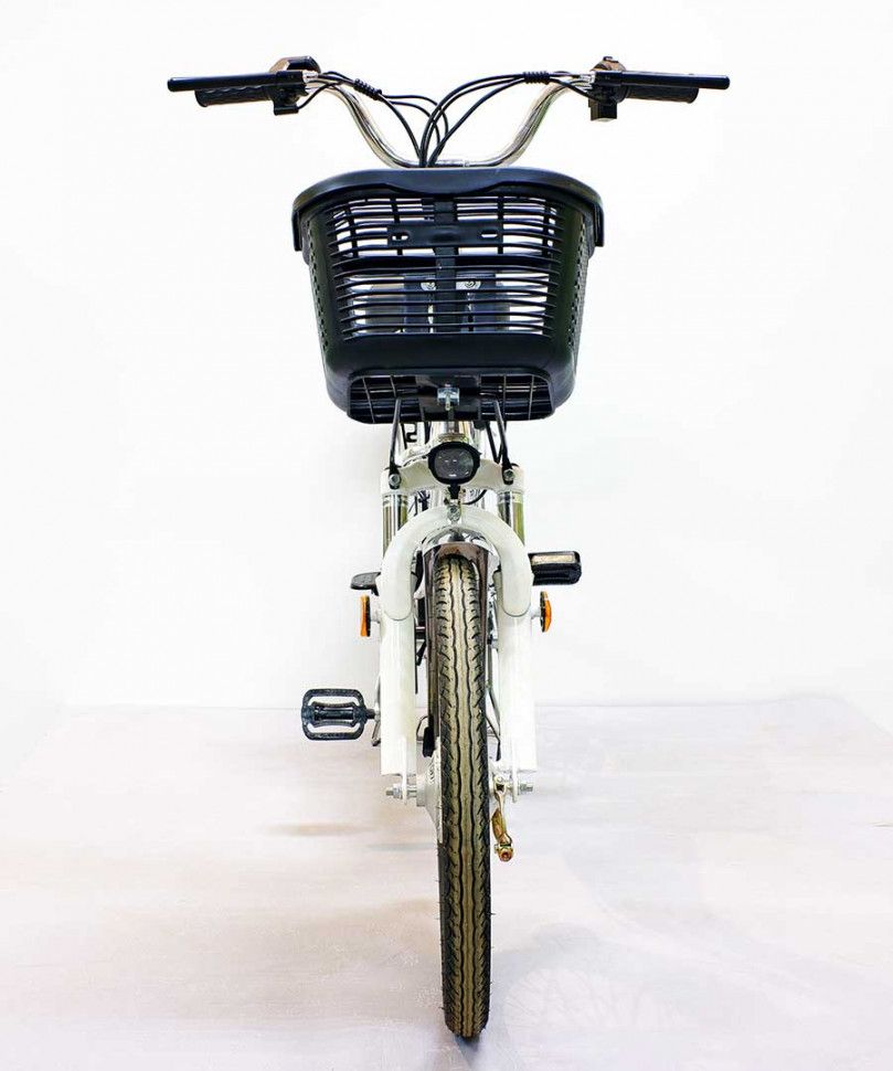 Электровелосипед GreenCamel Транк-20 V2 (R20 250W 48V) Алюм, редукторный